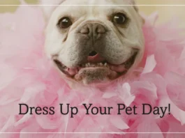 January 14 - National Dress Up Your Pet Day