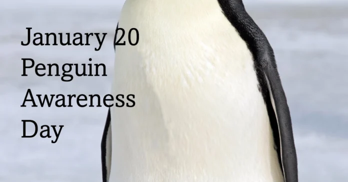 January 20 - Penguin Awareness Day