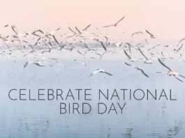 January 5 - National Bird Day