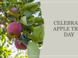 January 6 - Apple Tree Day