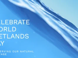 February 2 - World Wetlands Day