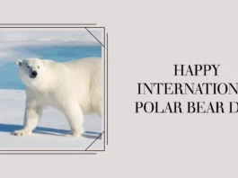 February 27 - International Polar Bear Day