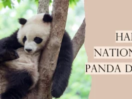 March 16 - National Panda Day