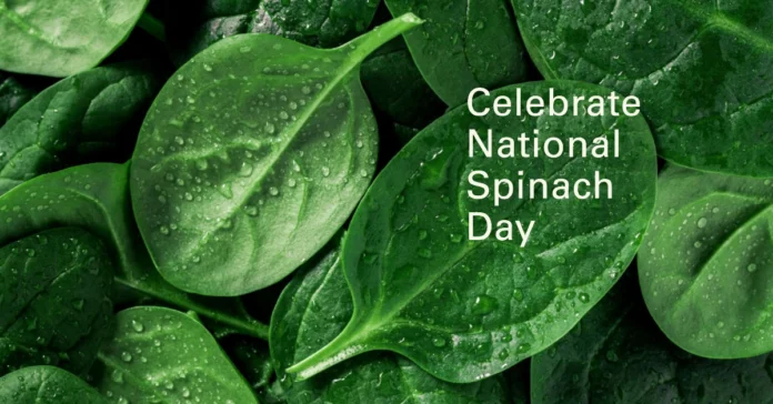 March 26 - National Spinach Day