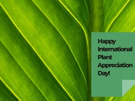 April 13 - International Plant Appreciation Day