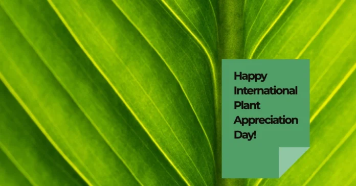 April 13 - International Plant Appreciation Day