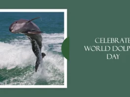 April 14 - World Dolphin Day