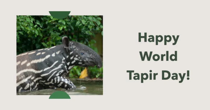 April 27 - World Tapir Day