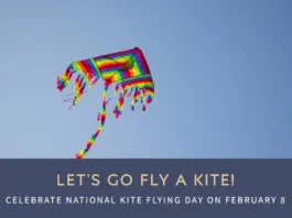 February 8 - National Kite Flying Day