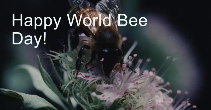 May 20 - World Bee Day