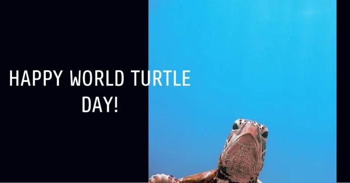 May 23 - World Turtle Day