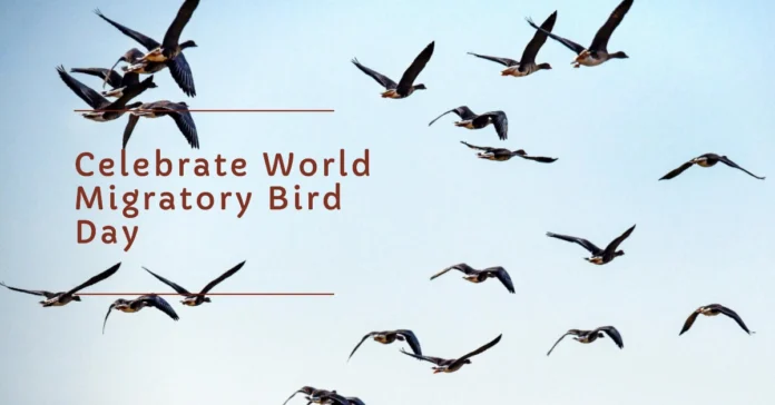 May 9 - World Migratory Bird Day