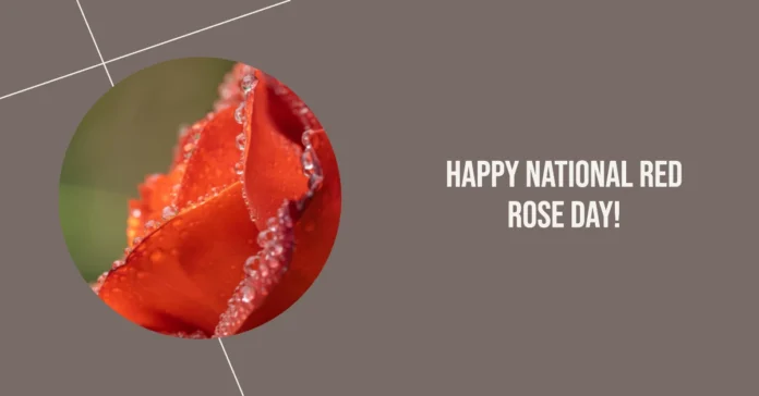 June 12 - National Red Rose Day