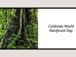 June 22 - World Rainforest Day