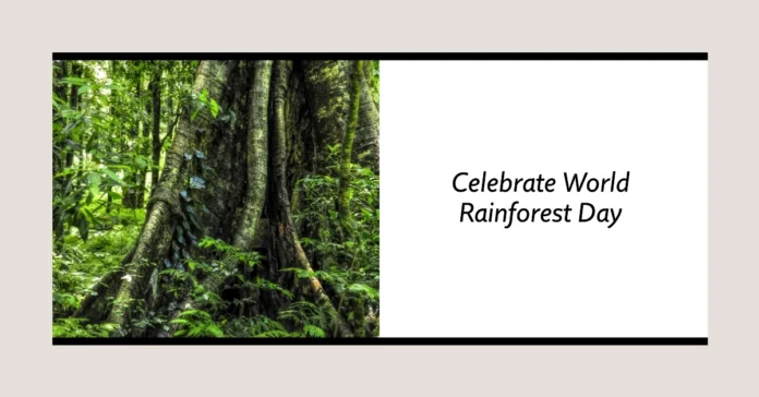 June 22 - World Rainforest Day