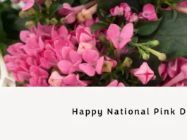 June 23 - National Pink Day