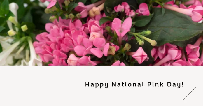 June 23 - National Pink Day