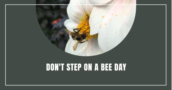 July 10 - Don't Step on a Bee Day
