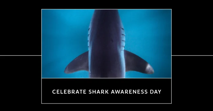 July 14 - Shark Awareness Day