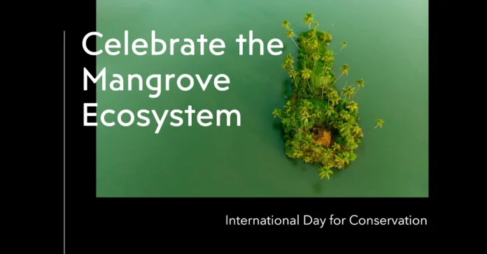 July 26 - International Day for the Conservation of the Mangrove Ecosystem