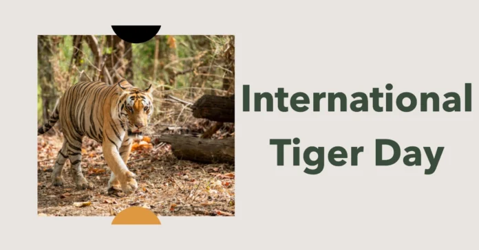 July 29 - International Tiger Day