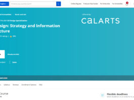 Web Design Strategy and Information Architecture (CALARTS)