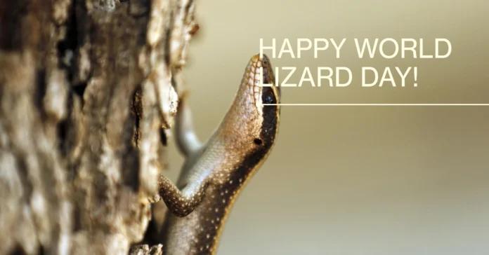 August 14 - World Lizard Day