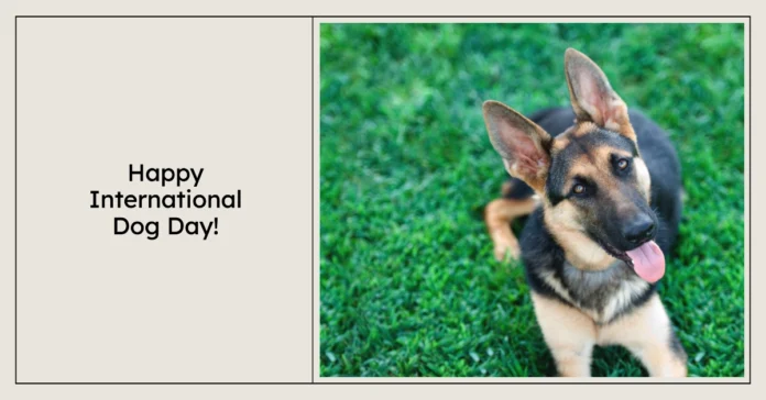 August 26 - International Dog Day