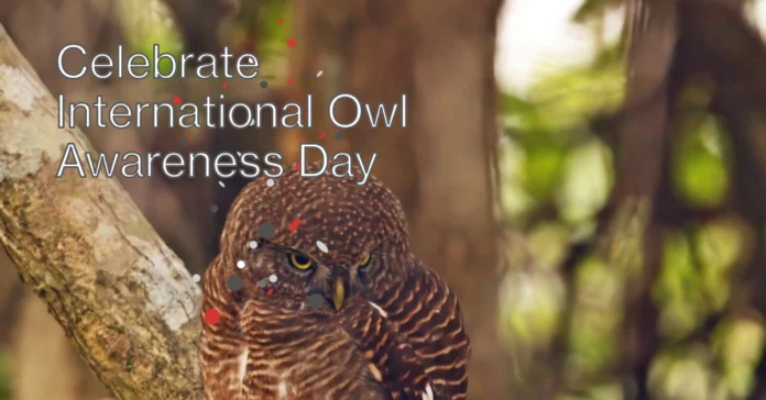 August 4 - International Owl Awareness Day