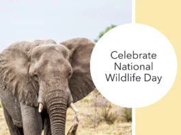 September 4 - National Wildlife Day