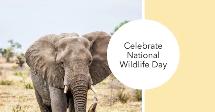 September 4 - National Wildlife Day