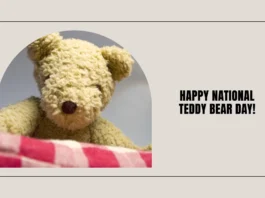 September 9 - National Teddy Bear Day