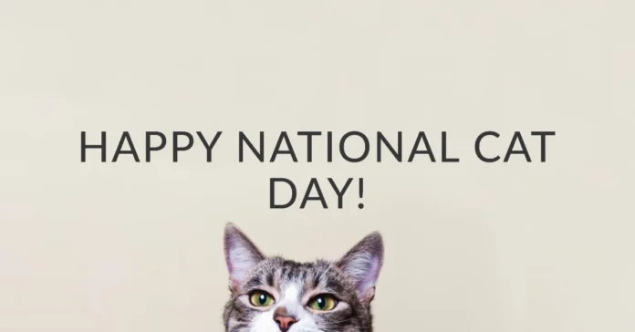 October 29 - National Cat Day