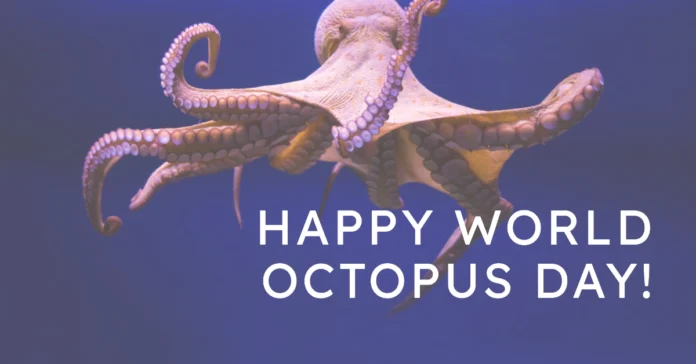 October 8 - World Octopus Day