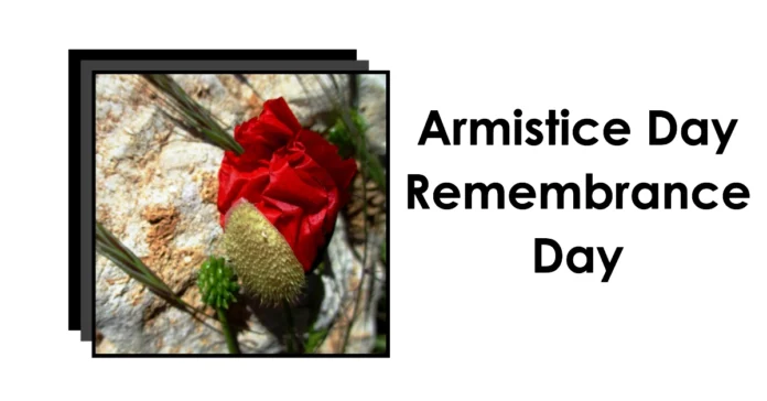 November 11 - Armistice Day Remembrance Day