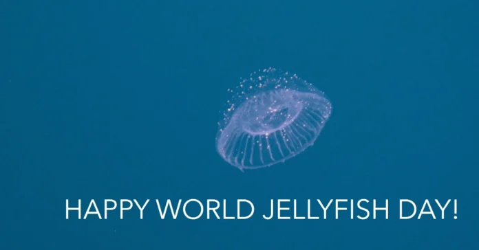 November 3 - World Jellyfish Day