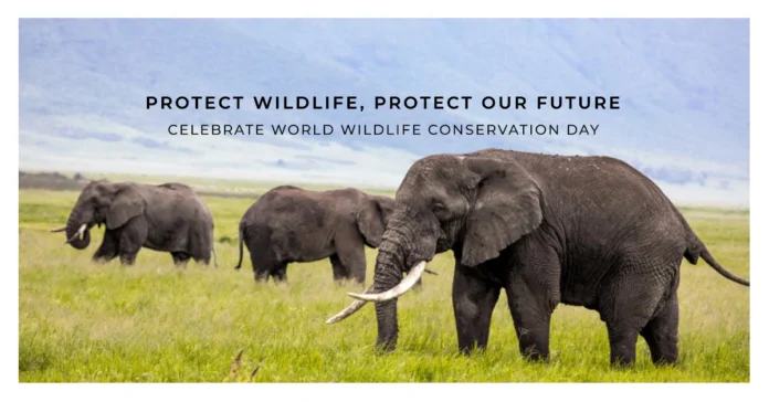 December 4 - World Wildlife Conservation Day
