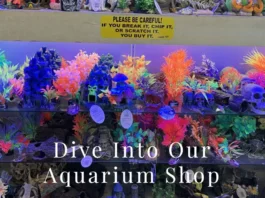 Aquarium Shop