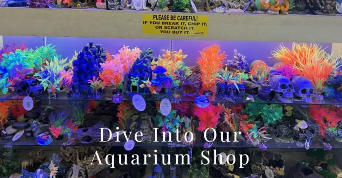 Aquarium Shop