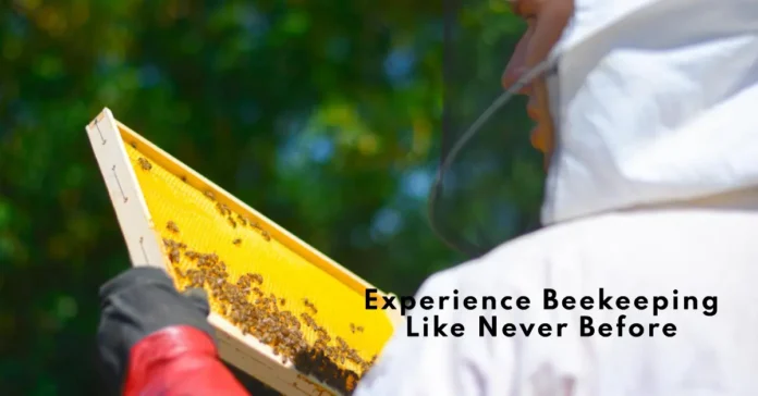 Beekeeping