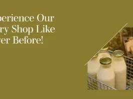 Dairy Products Shop