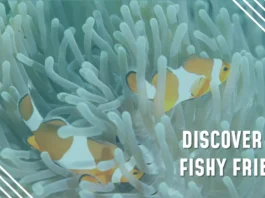 Fish Store